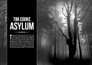 Item image: The Asylum