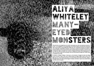 Item image: Many-Eyed Monsters