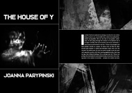 Item image: The House of Y
