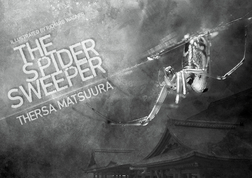 The Spider Sweeper